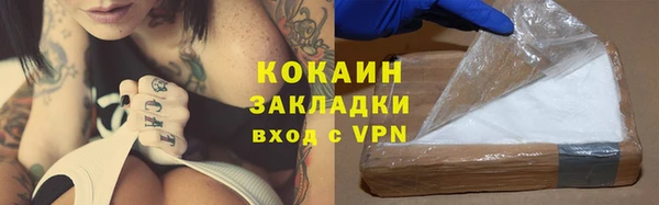 тгк Алексин