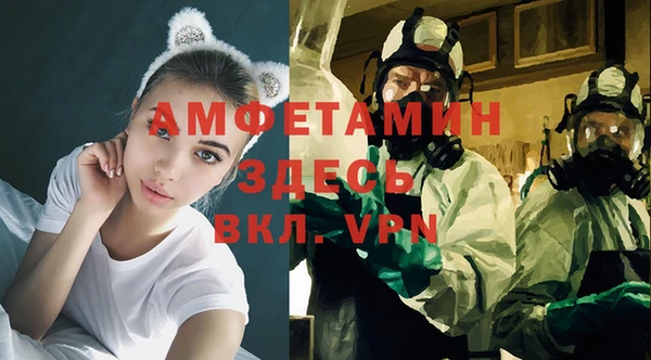 твердый Алексеевка