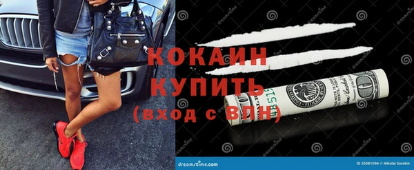 твердый Алексеевка